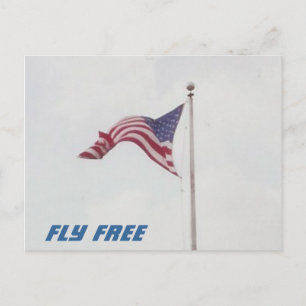 Fly Free USA Flag - cartão postal