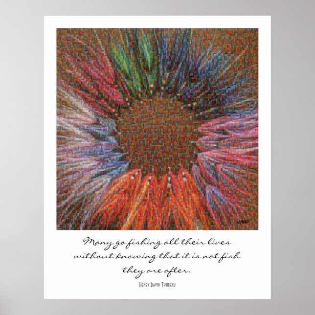 Fly Halo Montage Poster (Frente)