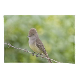 Flycatcher