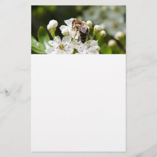 Flyer A abelha coleta pólen