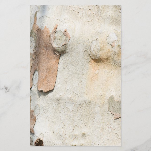 Flyer A camuflagem da árvore planificada parece um padrã (Frente)