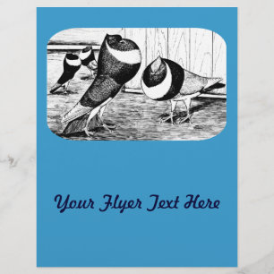 Flyer Aachen Banda Cropper Pigeons