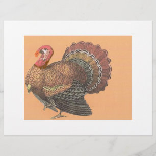 Flyer Ação de Graças à Turquia