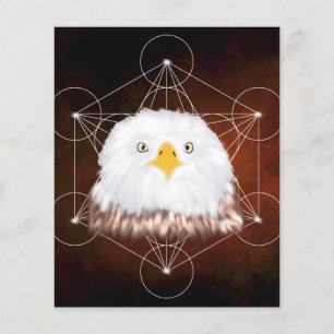 Flyer águia metatron