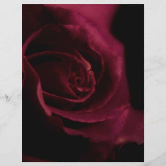 Flyer Ajustados de papel Binder Vinculado Rosa de 8,5"x1 (Frente)