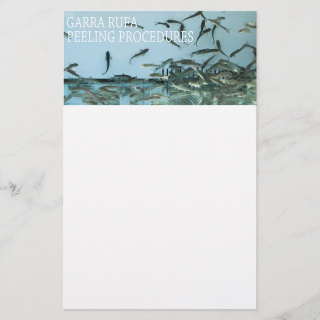 Flyer Alho-da-rúfa (Frente)