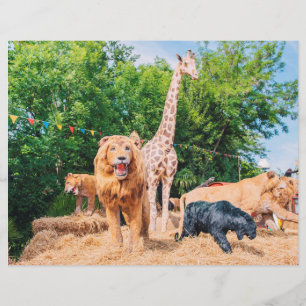 Flyer Animais de pelúcia