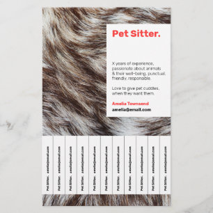 Flyer Anúncio de Serviço de Atenção de Pet Sitter Modern