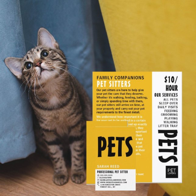 Flyer Anúncio de Serviço de Pet Sitting Moderno (Criador carregado)