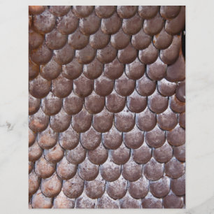 Flyer Armadura de escamas antiga