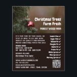Flyer Árvore de Natal Bauble, Vendas de Árvore de Natal<br><div class="desc">Bauble da Árvore de Natal,  Folheto de propaganda de venda de árvores de Natal pela Loja de Cartão de visita.</div>