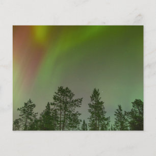 Flyer Aurora Boreal Luzes do Norte Céus Brilho Faísca