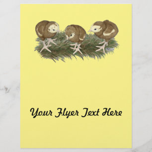 Flyer Aves de capoeira de chocolate turcas