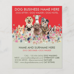 Flyer Babá de Pet Verde Sálvia Vermelha Botânica Cães To
