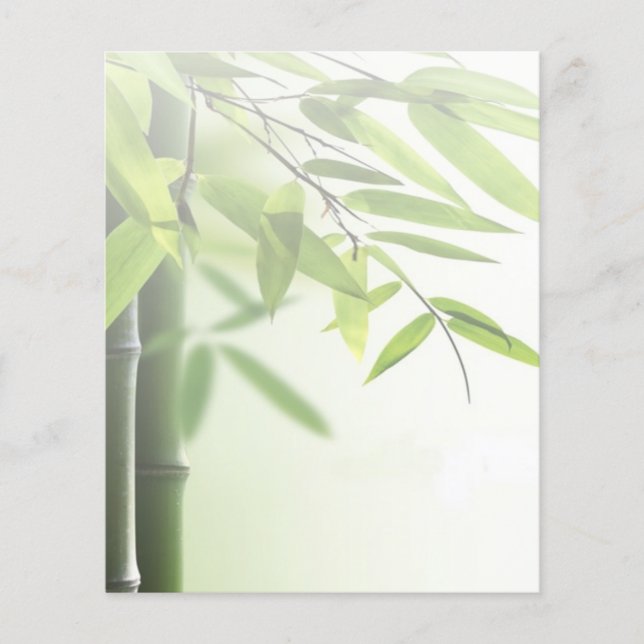 Flyer Bambu Verde/Spa Skin Care Massagem Salão (Frente)