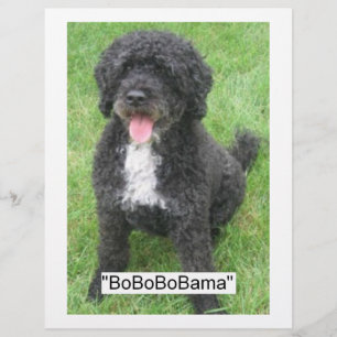 Flyer Barack Obama Cão de Água Português