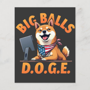 Flyer Big Balls Doge Department of the Efficiency do Gov