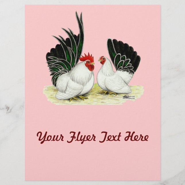 Flyer Blacktail Bantams Japonês (Frente)