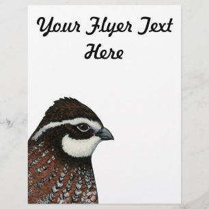 Flyer Bobwhite Quail Head