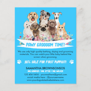 Flyer Boia de Cachorro Simples Azul