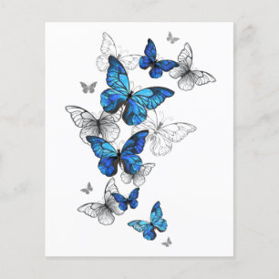 Flyer Borboletas Azuis Morpho