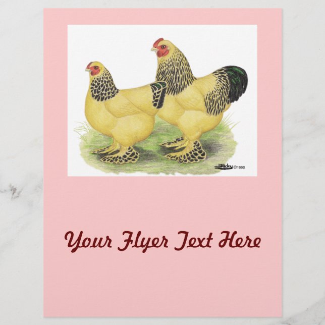 Flyer Brahma Buff Pair (Frente)