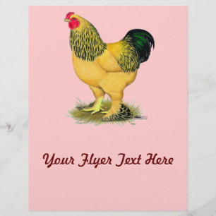Flyer Brahma:  Buff Rooster