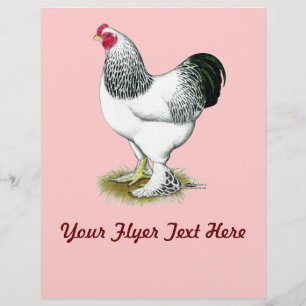 Flyer Brahma: Leve Rooster