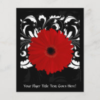 Bright Red Gerbera Daisy em Preto