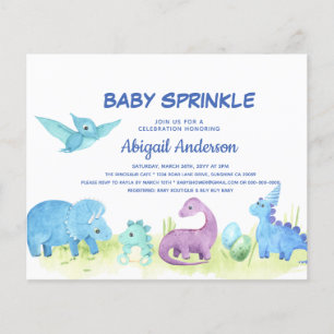Flyer Budget Dinosaur Baby Sprinkle Cute Invitation