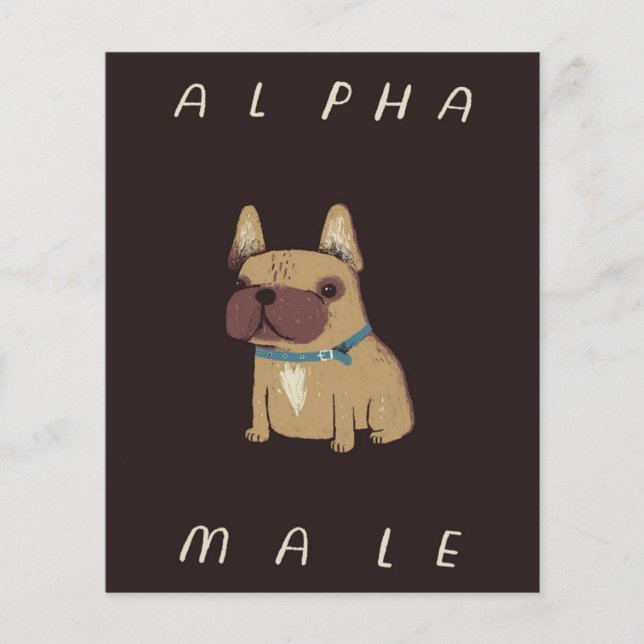 Flyer Bulldog Alpha Male | Presente De Amantes De Bulldo (Frente)