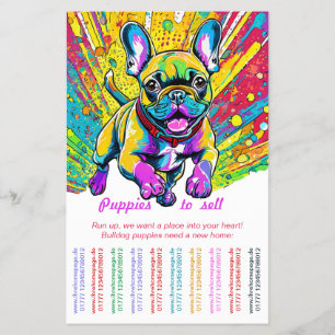 Flyer Bulldog Francês para sua casa