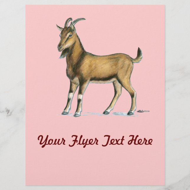 Flyer Cabra: Marrom (Frente)