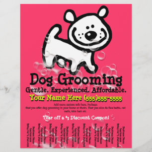 Flyer Cachorro em chamas.Serviço Pet de publicidade.