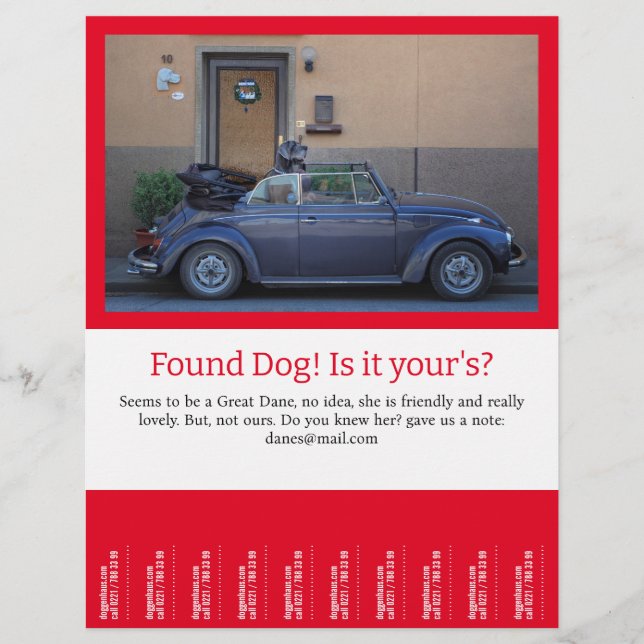 Flyer Cachorro Encontrado Desprenda  (Frente)