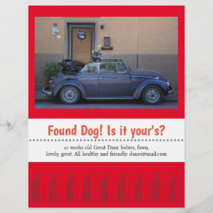 Flyer Cachorro Encontrado Desprenda texto personalizado