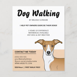 Flyer Cachorro Italiano Fawn e Branco - Passeador de Cãe