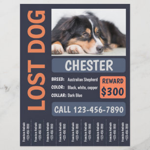 Flyer Cachorro Perdido Poster de Recompensa Ausente