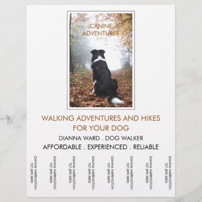 Flyer Cachorro Walker Adventure Caminha E Hikes (Frente)
