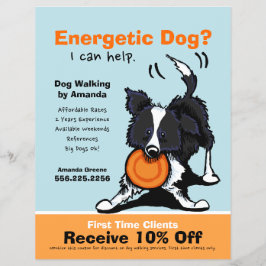 Flyer Cachorro Walker Andando E Coupon Border Collie