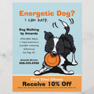 Flyer Cachorro Walker Andando E Coupon Border Collie