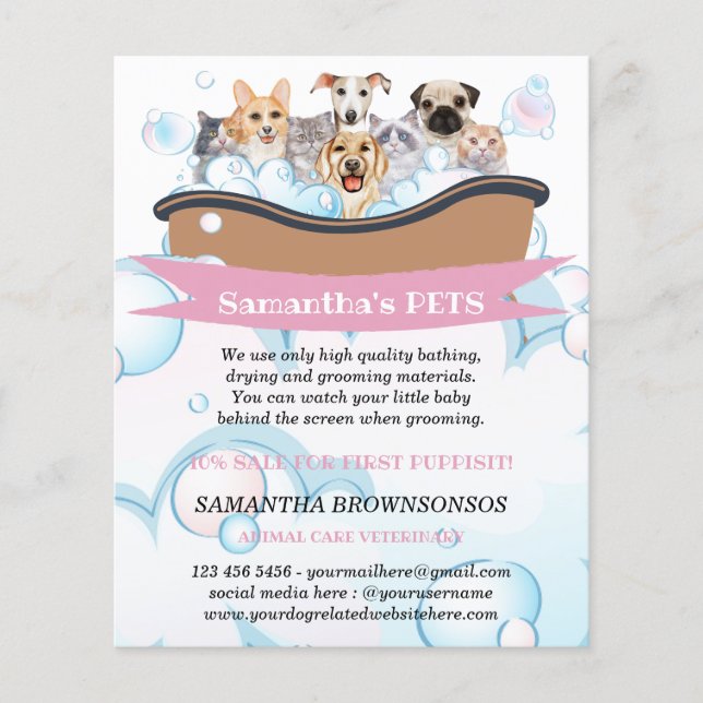 Flyer Cães Mais Fofos Gatos Spa Babá Tosa Serviços de Pe (Frente)