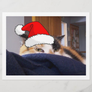 Flyer Calico Cat Natal