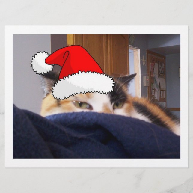 Flyer Calico Cat Natal (Frente)