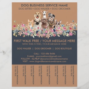 Flyer Caminhando Cachorro
