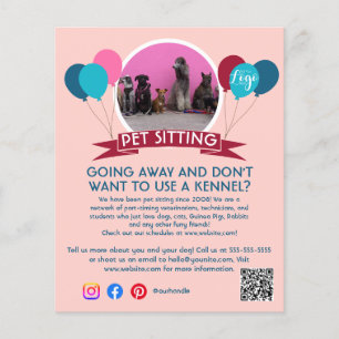 Flyer cão andando de estimação sentado serviço de estima