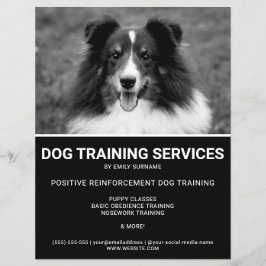 Flyer Cão de Ovelha Shetland Preto e Branco Foto Treinad