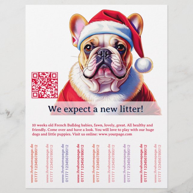 Flyer Cão e gato (Frente)