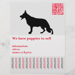 Flyer Cão Pastor Minimal personalizado