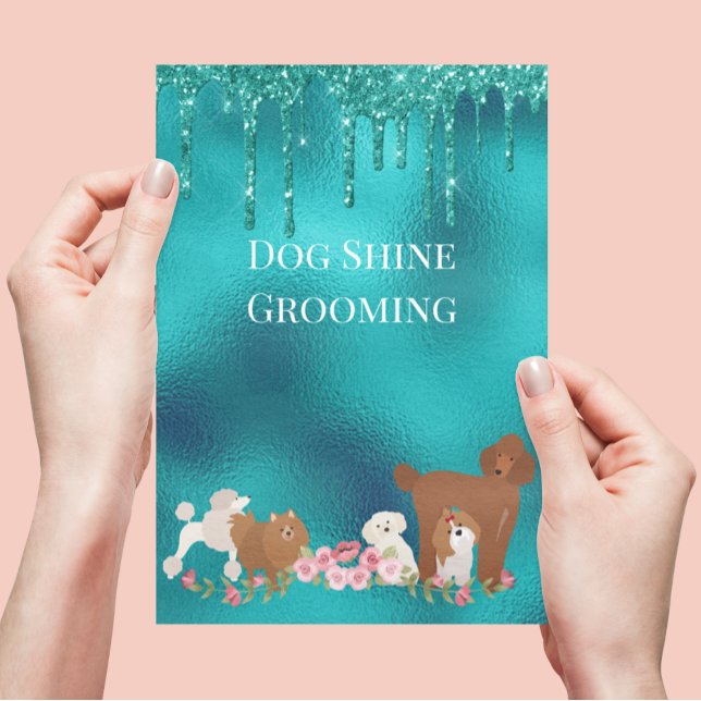 Flyer Cão Pet Grooming Sitting Business Glitt (Criador carregado)